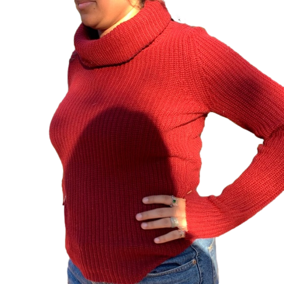 The Limited Cranberry Turtleneck Sweater - Picture 6 of 8